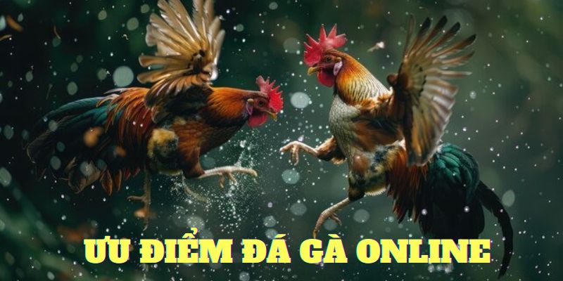 Gà đá online và những ưu điểm vượt trội 